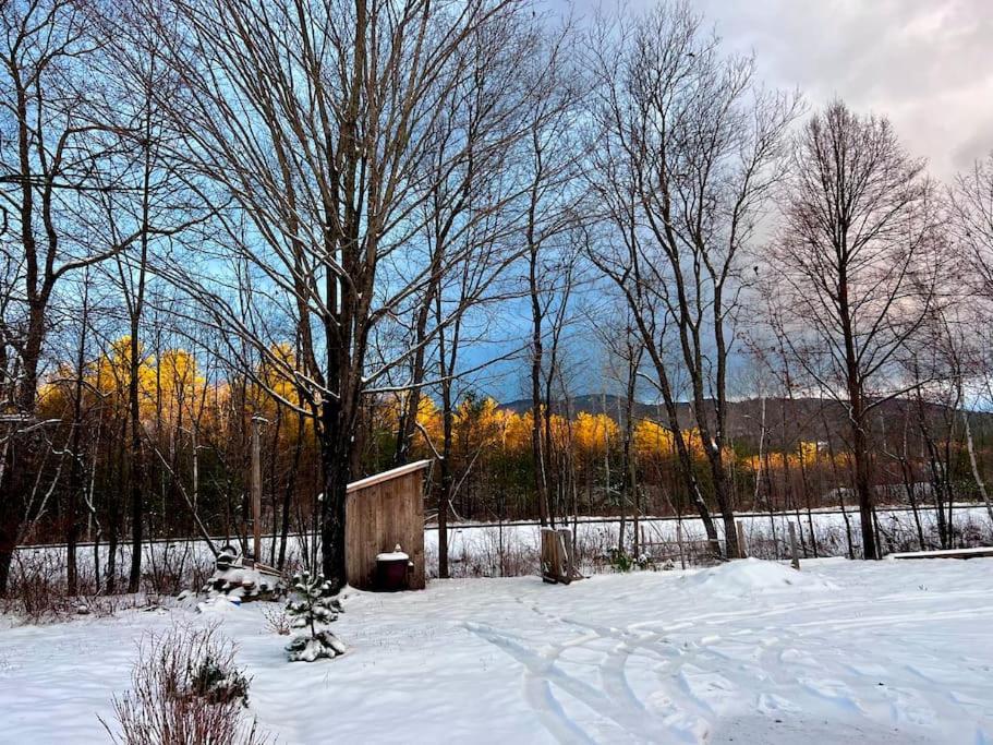 דירות בת'ל Maine Mountain Retreat מראה חיצוני תמונה